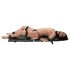 You2Toys - Bondage Board - Tragbares Fesselset (13-teilig)