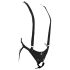 King Cock Strap-on 10 - 25cm Hohl-Dildo zum Anschnallen