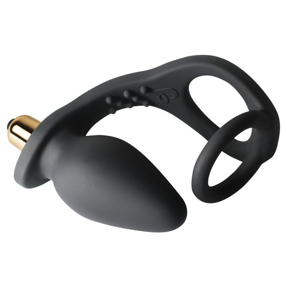 RO-ZEN Doppel-Penisring und Analvibrator