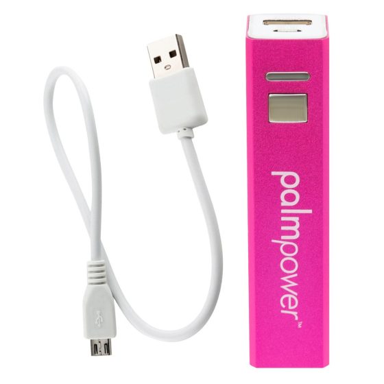 PalmPower Wand - USB-betriebener Massagevibrator mit Powerbank (pink-grau)