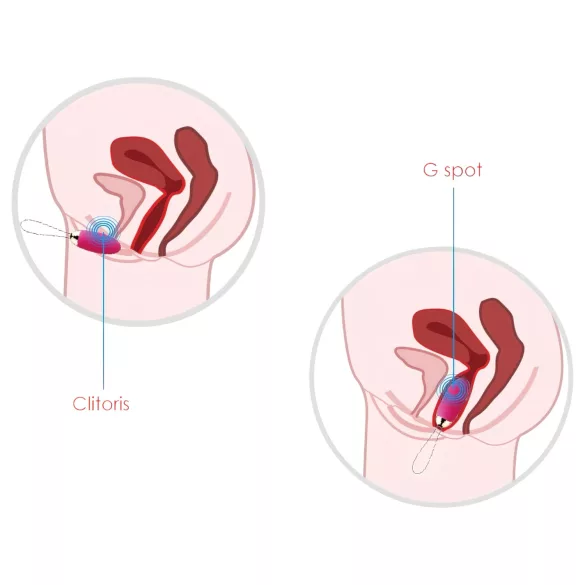 Svakom Elva - wiederaufladbares, ferngesteuertes Vibro-Ei (rot)