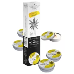   Petits Joujoux Waikiki Massagekerze - Kokosnuss-Ananas (5x43ml)