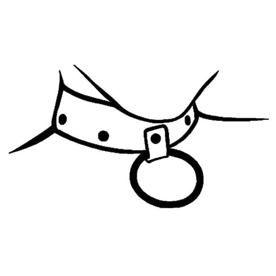 ZADO - Leder Halsband mit Nieten und Leine (schwarz)