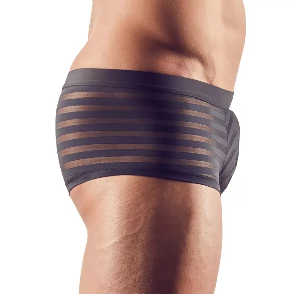 Svenjoyment - Transparente, gestreifte Boxershorts (schwarz) - L