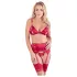 Abierta Fina - Glänzendes Ketten-Dessous-Set (Rot)