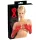LATEX - Lange, unisex Handschuhe (rot)