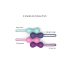 Love to Love Joia - Silikon-Liebeskugeln Duo (Minze)
