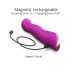 Love to Love Swap - Akku G-Punkt Vibrator lila, pulsierend
