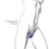 Wonderlover - G-Punkt & Klitoris Vibrator (Metallic-Lila)