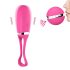 Dorcel Secret Delight - Funk Vibro-Ei (Pink)