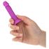 Silly Willy - Buntes Silikon-Dildo mit Saugnapf, 12 Stück