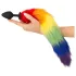 You2Toys - Silikon Analplug mit Schwanz (Regenbogen)
