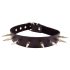 Rouge - Echte Lederhalsband mit Nieten (Schwarz)