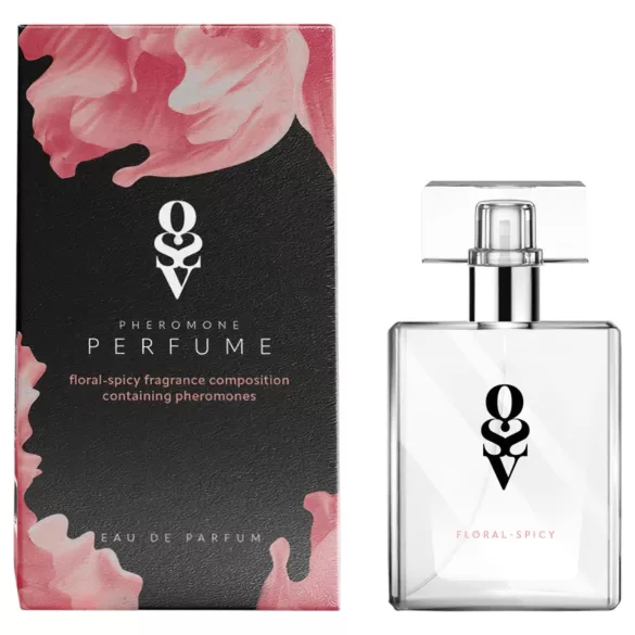 Obsessive Aloisa - Dessous-Geschenkbox - 6-teilig (Rot)