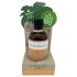 Kokosöl - Bio Bräunungsöl (80ml)