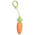 Sex HD Karotten - Orangen-Vibrator