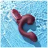 Magic Motion Magic Ponder - 2in1 Klitorisarm-Vibrator (Bordeaux)