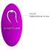 Pretty Love Algernon – Wiederaufladbarer, fernsteuerbarer Paarvibrator (Lila)