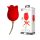 Pretty Love Rose Lover - 2in1 Zungen-Vibrator (rot)