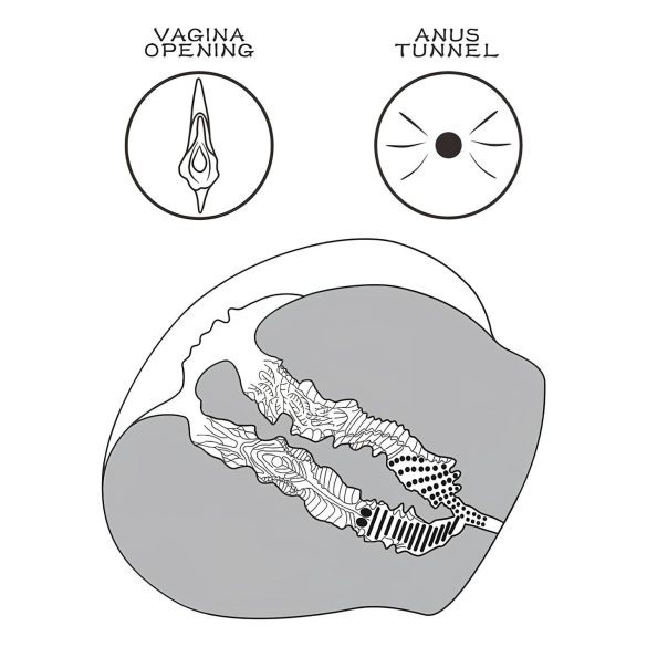 Lovetoy Streetgirl's 12 - Lusttorso & Slip (dunkel natur)