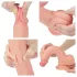 Lovetoy Nature Cock - realistische Dildo mit Saugnapf - 21cm (natur)