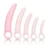 CalExotics Inspire - Vaginaldilatator-Set für Wohlbefinden (Pink)