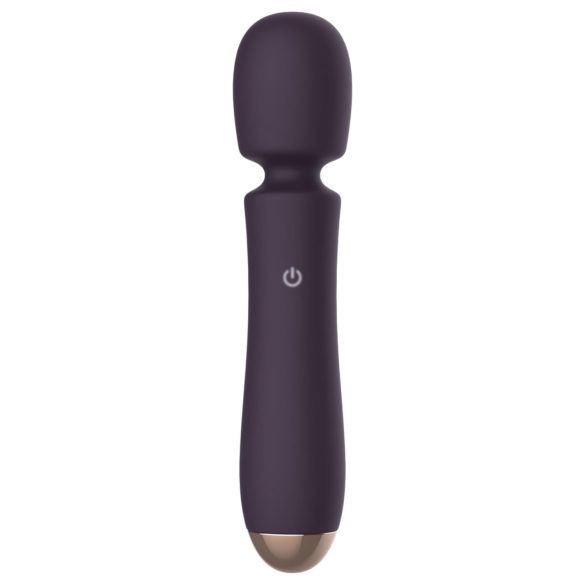 Raytech - Akku-Wasserdichter Massagevibrator (Lila)