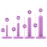 Blush Wellness – Vaginales Dilatationsset (Lila)