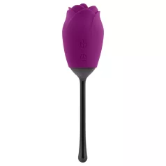   Playboy - Wasserdichte akkubetriebene Zungen-Rosenvibrator (Lila)