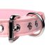 Master Series Goldene Katze - Halsband mit Schleife & Glocke (pink)