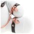 Fesselnder Hase - BDSM Bunny (weiß)