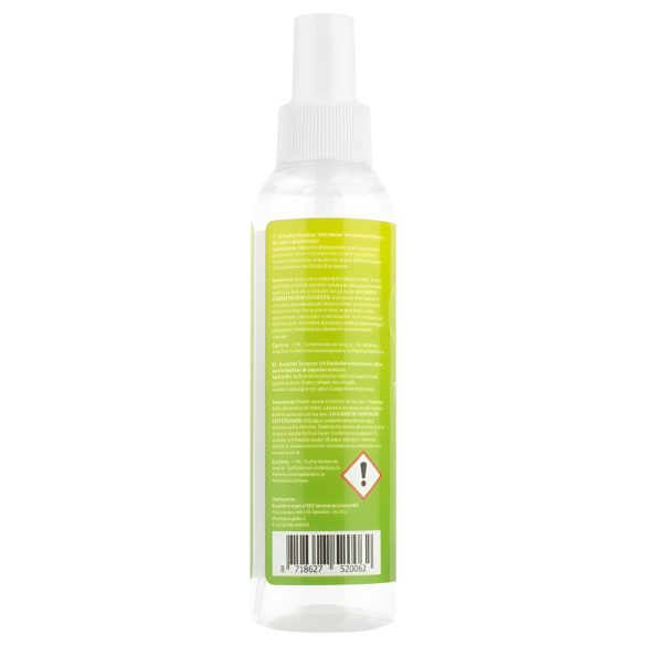 EasyGlide Toy - Desinfizierender Reinigungsspray (150ml)