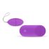 Easytoys - Funky Lila Vibro-Ei mit 7 Rhythmen und Fernbedienung
