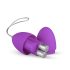 Easytoys - Funky Lila Vibro-Ei mit 7 Rhythmen und Fernbedienung