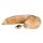 Easytoys Fuchs NO1 - Metall Analplug mit Fuchsschwanz (Gold-Rot)