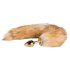 Easytoys Fuchs NO1 - Metall Analplug mit Fuchsschwanz (Gold-Rot)