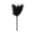 Geheime Lusttruhe - Fortgeschrittenes BDSM-Set, 14 Teile (schwarz)