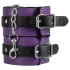 Secret Pleasure Chest - Fortgeschrittenes BDSM-Set (14-teilig)