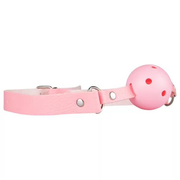 Geheime Lusttruhe - Fortgeschrittenes BDSM-Set - 14-teilig (Rosa)