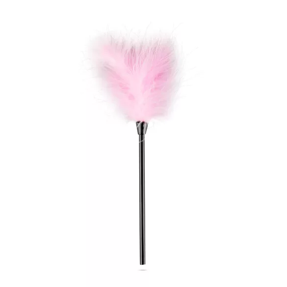 Geheime Lusttruhe - Fortgeschrittenes BDSM-Set - 14-teilig (Rosa)