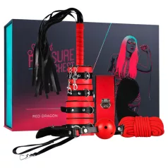   Secret Pleasure Chest - Fortgeschrittenes BDSM-Set - 10-teilig (rot)