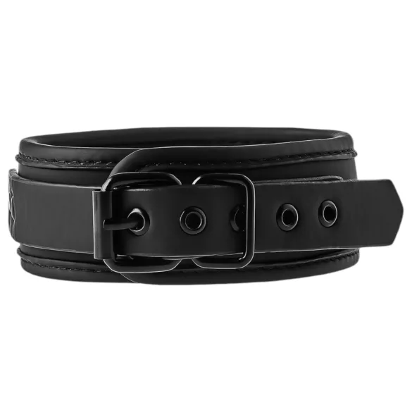 Blaze - Halsband und Leine (schwarz)