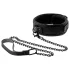 Blaze - Halsband und Leine (schwarz)
