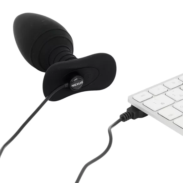 Nexus Ace - Fernbedienung, Akku Analvibrator (klein)