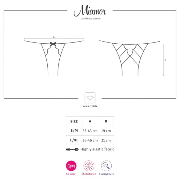 Obsessive Miamor - Netzoffener Spitzen-Slip (Schwarz)