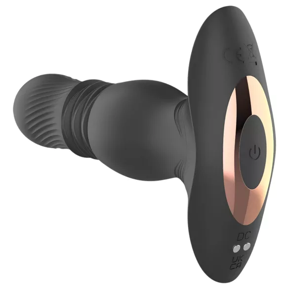 Aixiasia Roy - Akku-Radio-Analdildo (Schwarz)