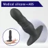 Aixiasia Roy - Akku-Radio-Analdildo (Schwarz)