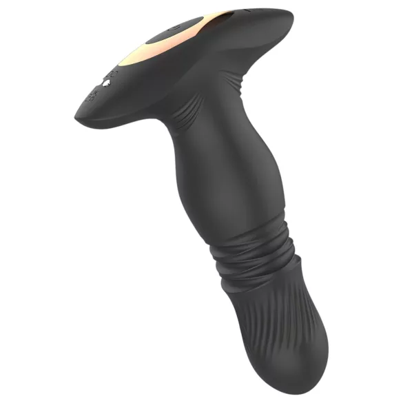 Aixiasia Roy - Akku-Radio-Analdildo (Schwarz)